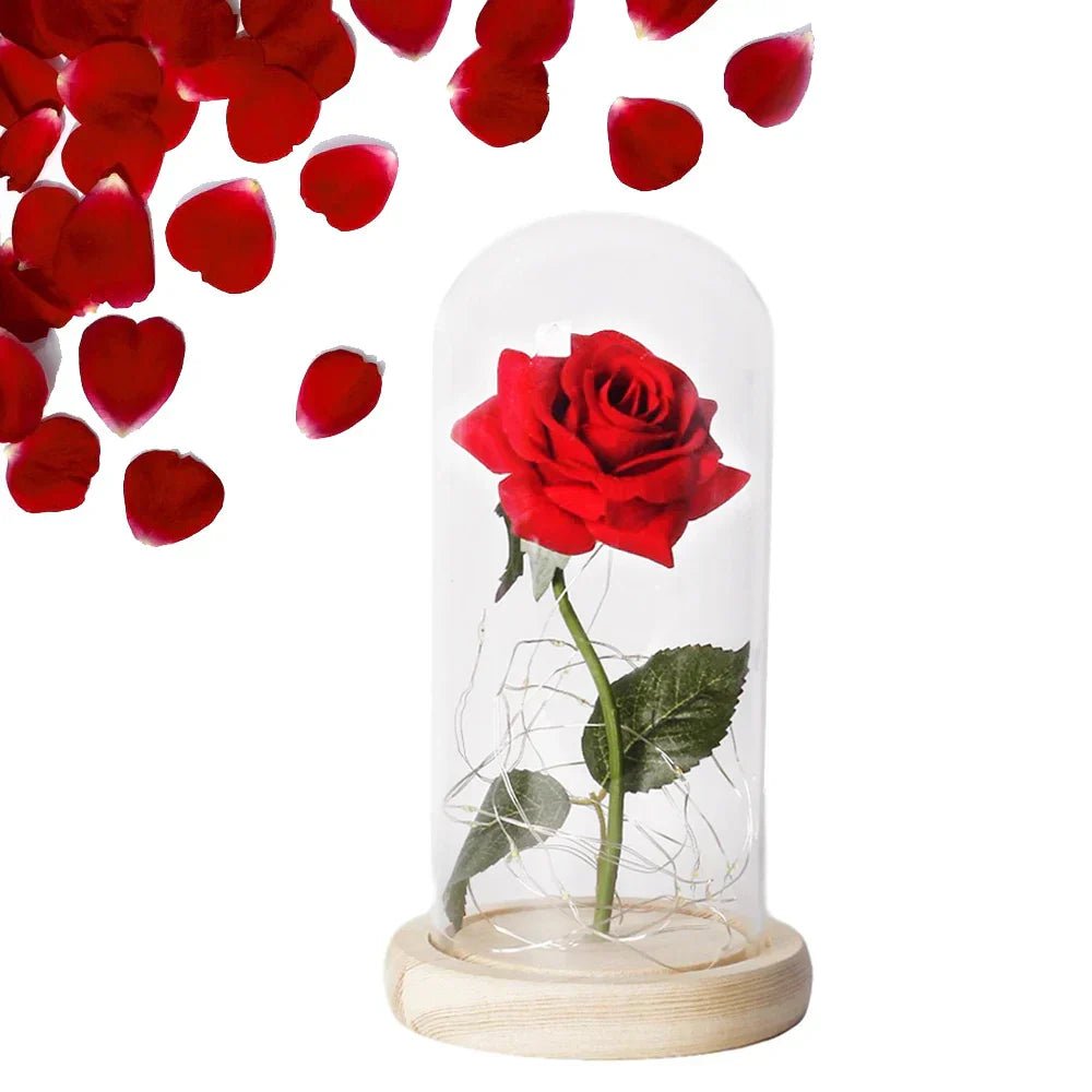 Vionara - Rose préservée sous cloche en verre avec éclairage LED | Vionara