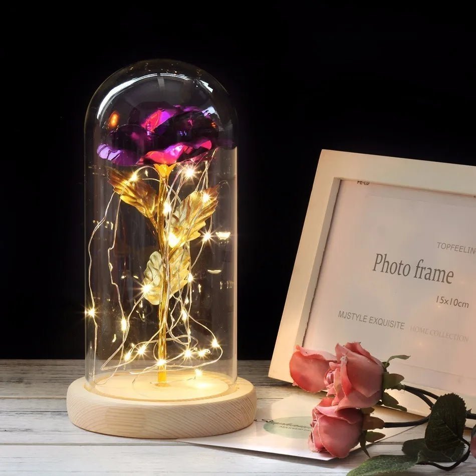 Vionara - Rose préservée sous cloche en verre avec éclairage LED | Vionara