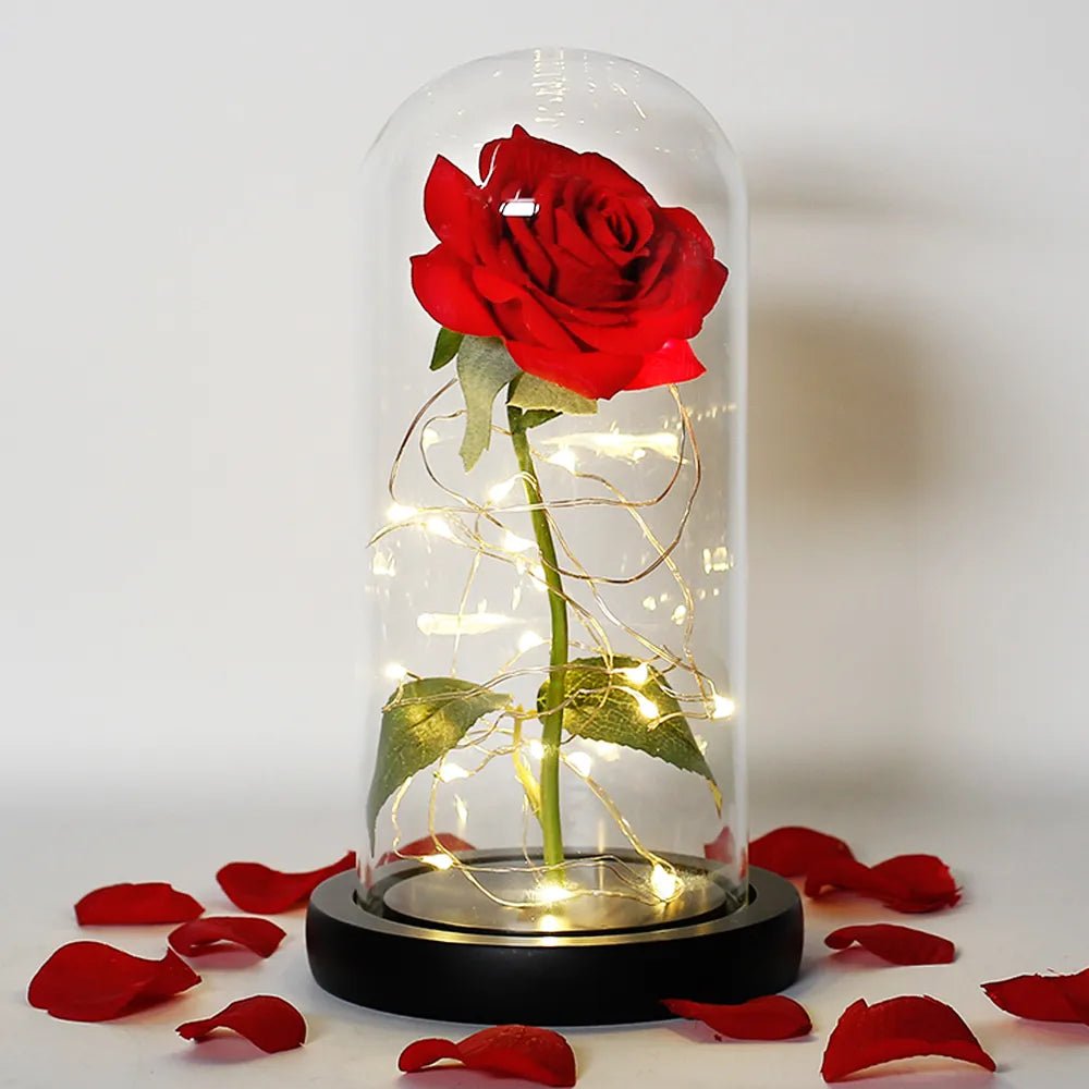 Vionara - Rose préservée sous cloche en verre avec éclairage LED | Vionara