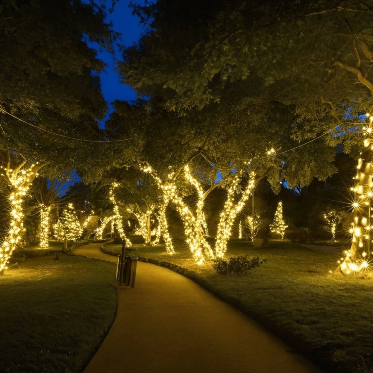Vionara - Guirlande lumineuse solaire en cuivre étanche | Vionara