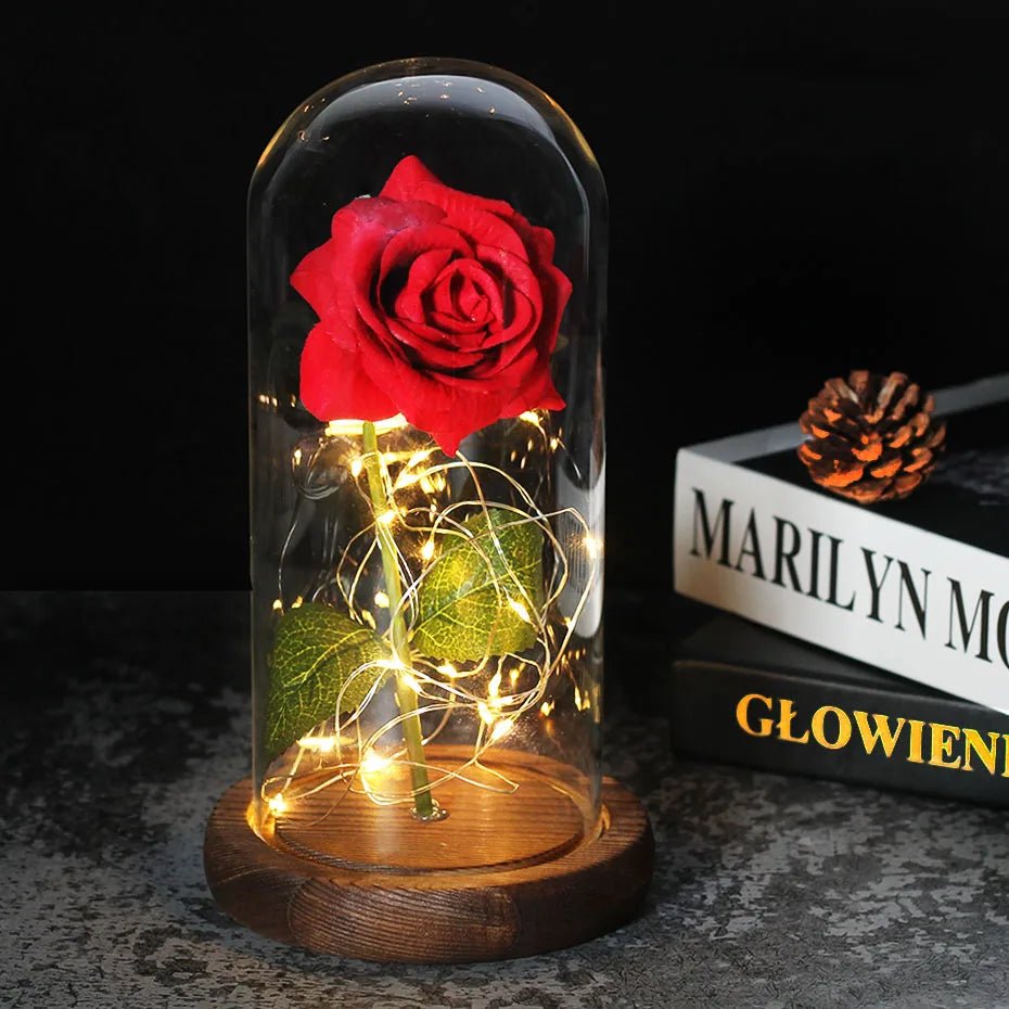 Vionara - Rose préservée sous cloche en verre avec éclairage LED | Vionara