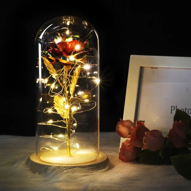 Vionara - Rose préservée sous cloche en verre avec éclairage LED | Vionara