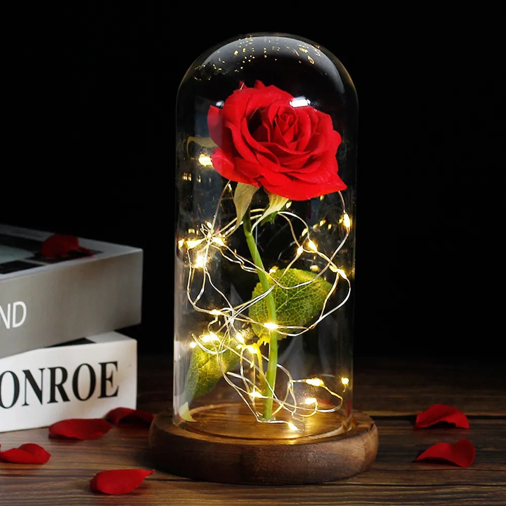 Vionara - Rose préservée sous cloche en verre avec éclairage LED | Vionara