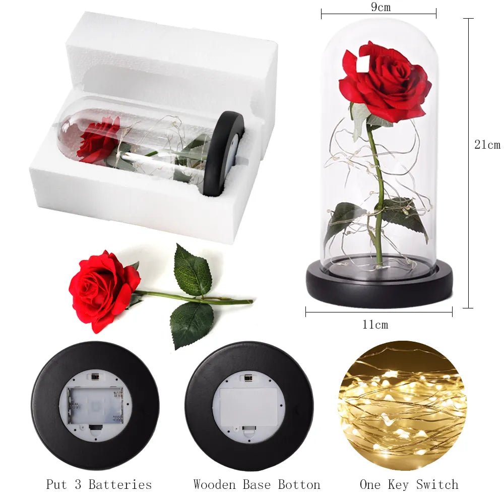 Vionara - Rose préservée sous cloche en verre avec éclairage LED | Vionara