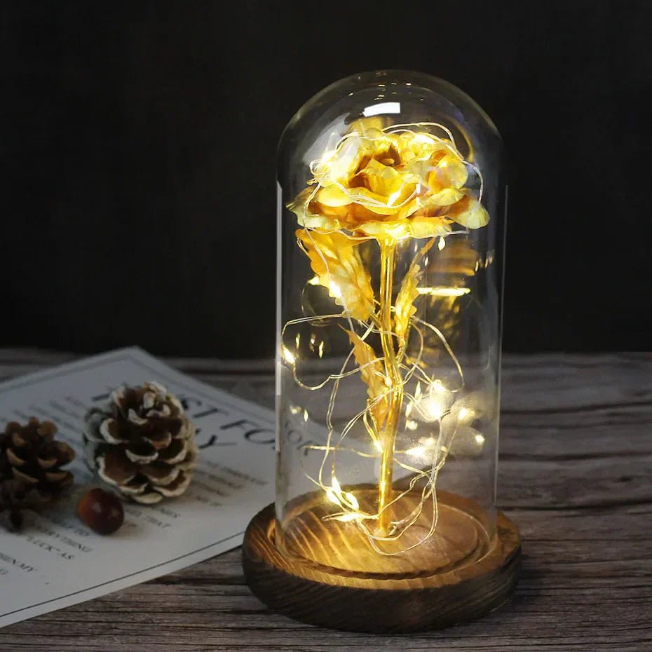Vionara - Rose préservée sous cloche en verre avec éclairage LED | Vionara