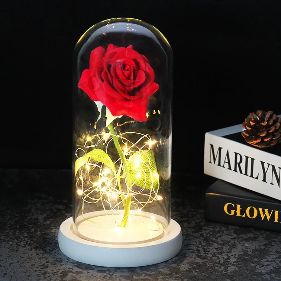 Vionara - Rose préservée sous cloche en verre avec éclairage LED | Vionara