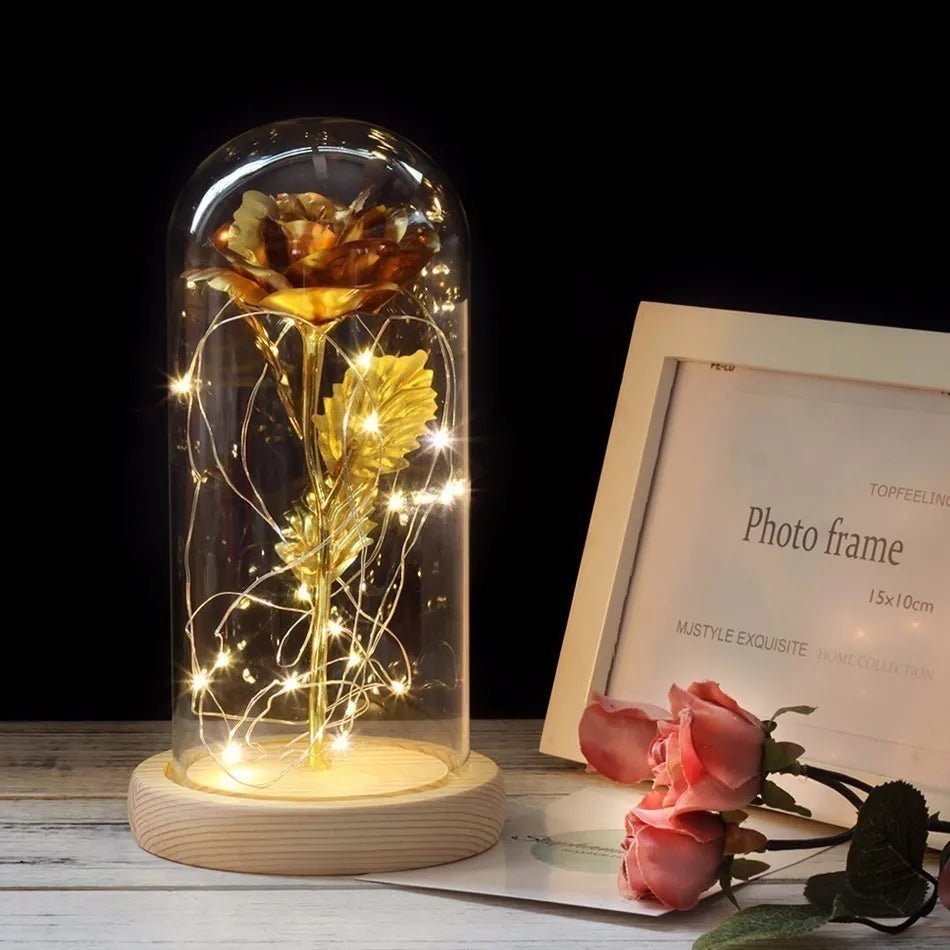 Vionara - Rose préservée sous cloche en verre avec éclairage LED | Vionara