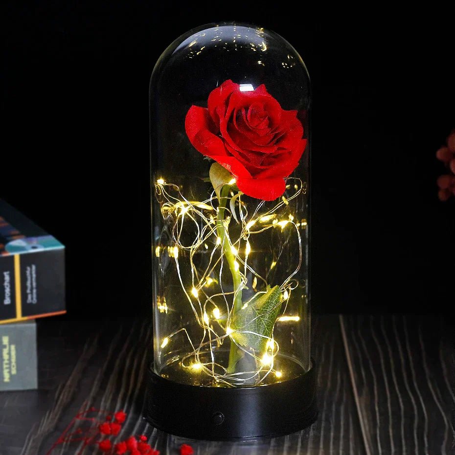 Vionara - Rose préservée sous cloche en verre avec éclairage LED | Vionara